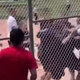 Illustration for article titled Parents Brawl At 7-Year-Olds Baseball Game